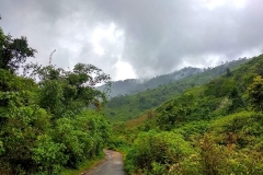 Green view of Tabakoshi